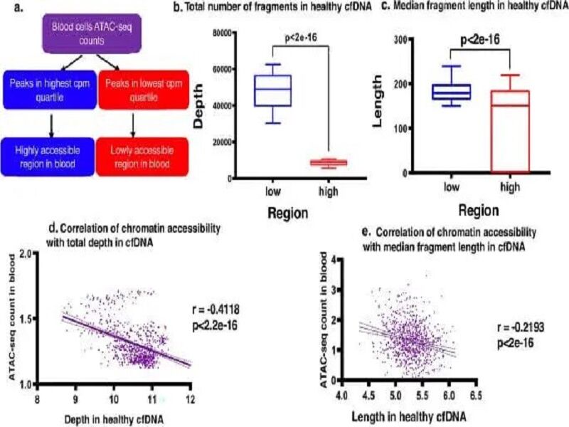 تشخیص غیرتهاجمی سرطان با تحلیل DNA
