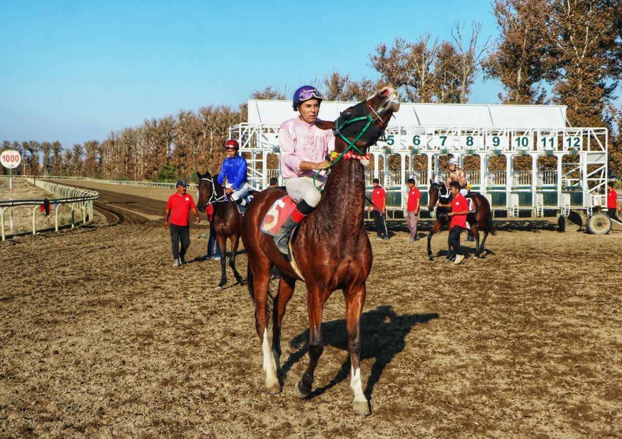 کورس گنبدکاووس در ایستگاه چهارم با ۷۱ میلیارد ریال جایزه