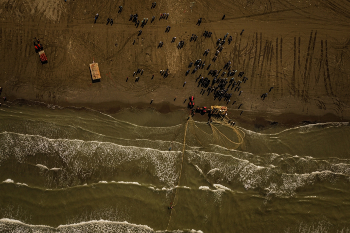 رکوردشکنی صید ماهی در شمال ایران با وجود چالش‌های محیط‌زیستی