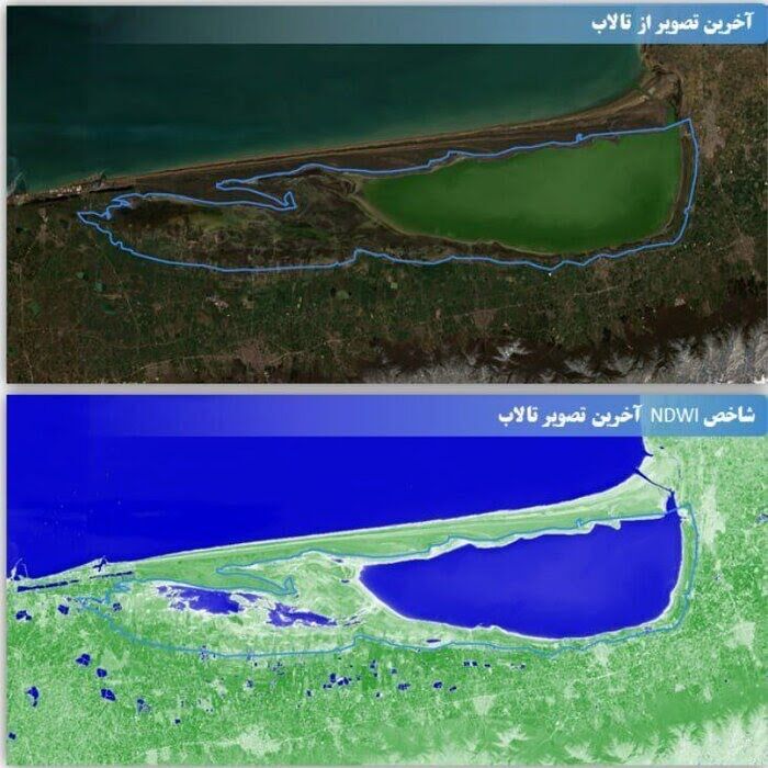 تاثیر مستقیم افت تراز آب دریای خزر بر خشکی تالاب میانکاله
