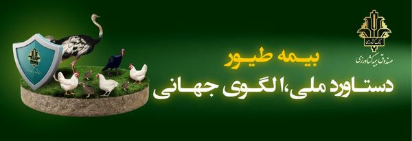 پوشش بیمه ای ۱.۸ میلیارد قطعه طیور و پرداخت ۳۳۰۰ میلیارد ریال خسارت در سال ۱۴۰۴ / پایداری تولید در زنجیره تأمین پروتئین کشور