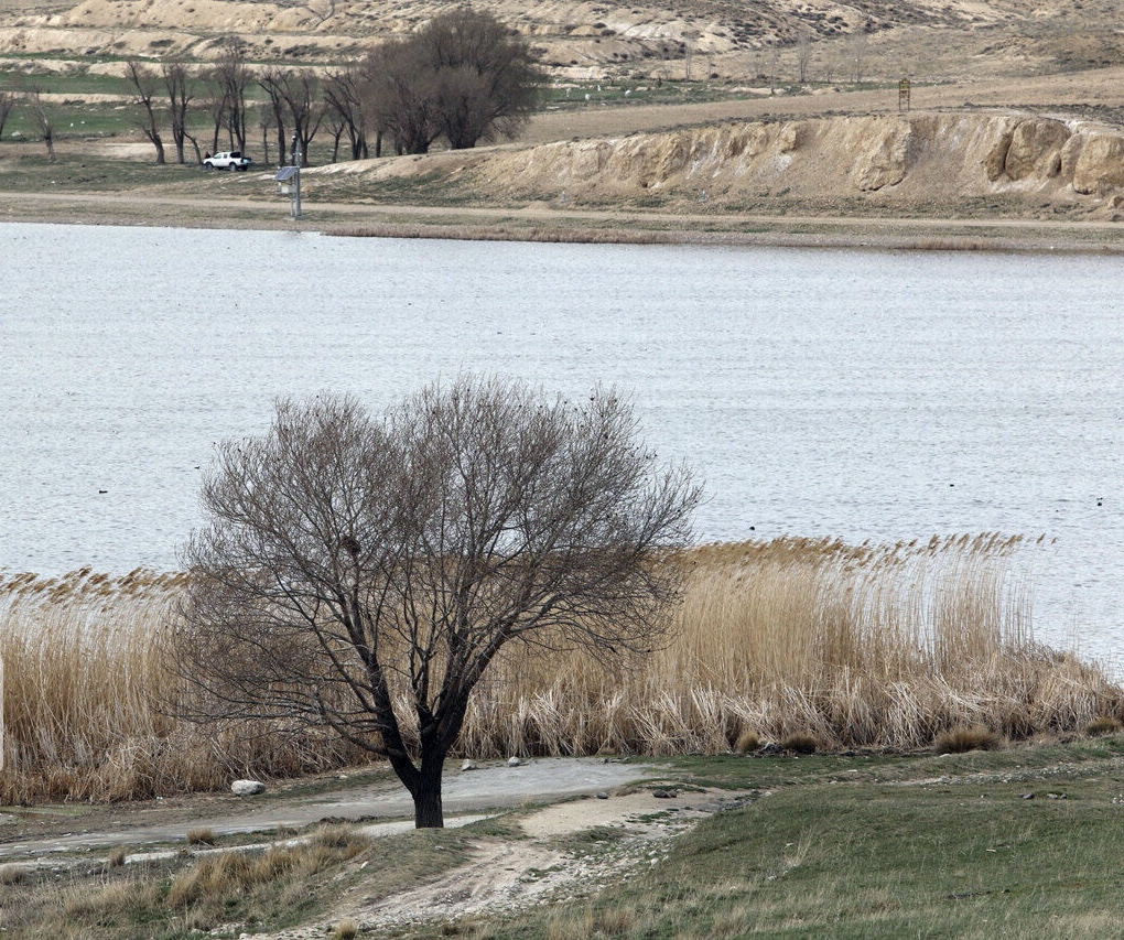 آغاز آبگیری تالاب بین المللی قوری گول در بستان آباد