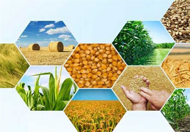 بیشتر کالاهای کشاورزی امسال با مازاد تولید روبروست